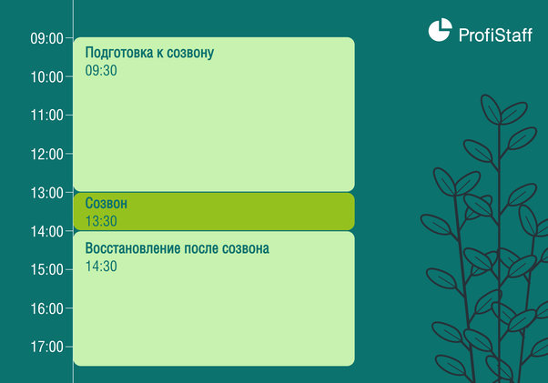 таймменеджмент по зум встречам